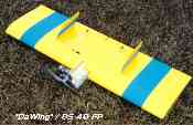 Scratch built DaWing 40, OS 40FP. Designed and built for sport flying and combat at over 100mph!